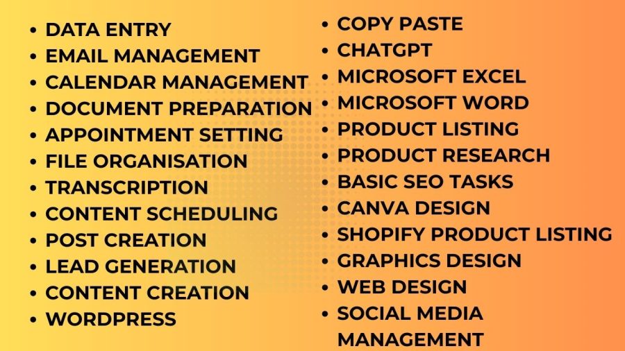 I will be your Professional Virtual Assistant for Daily Support.