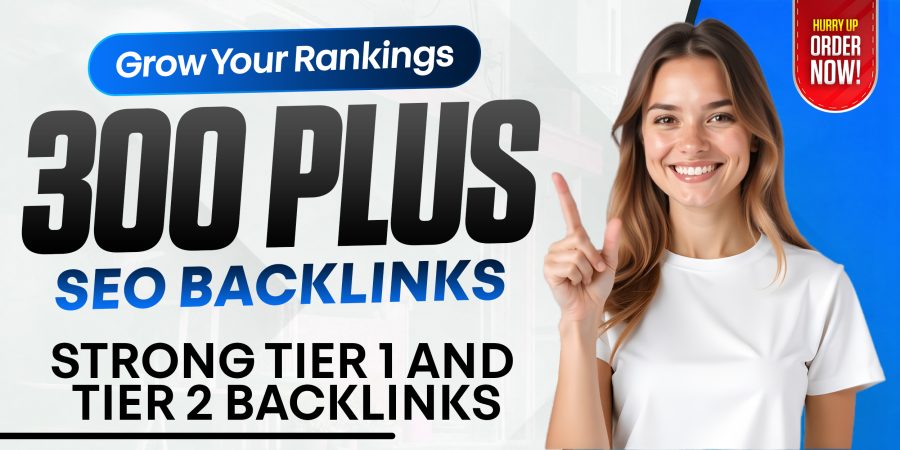 I Will Build 300+ SEO Backlinks for Tier 1 and Tier 2 Link Building