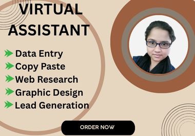 I will be your professional virtual assistant for web research, data entry, and lead generation