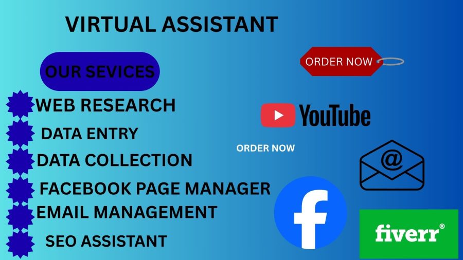  I will provide professional virtual assistant services for your business