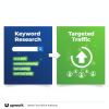 I will Provide WordPress/Shopify Website on Page SEO and off pages SEO