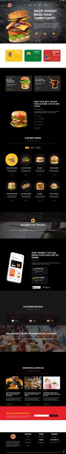 Website Design in wordpress elementor Builder