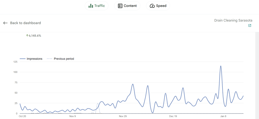 i will do the Local SEO of Plumbing Websites so that they rank higher in google