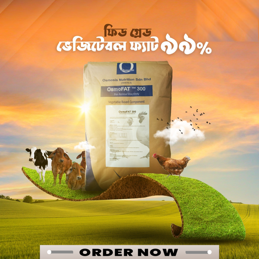 I will design professional product advertisement banner . 