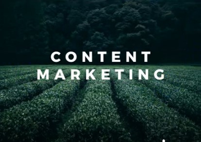 I am a Digital Content Specialist specializing in all types of website content.