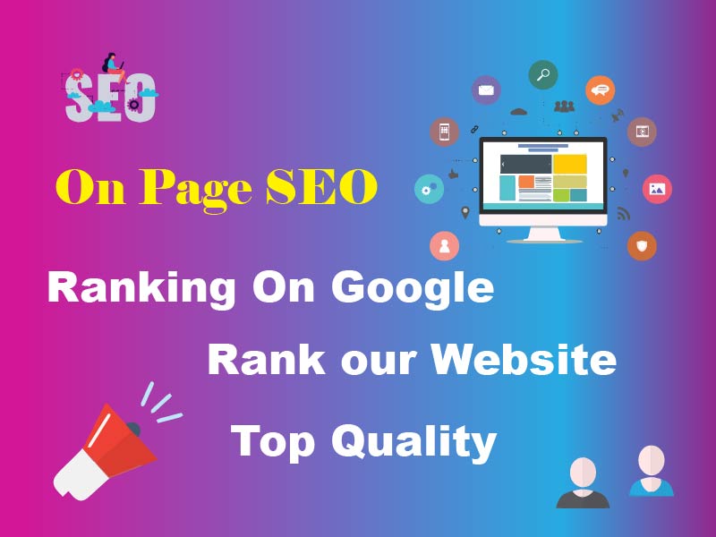 I will enrich website with on page SEO to rank top on google search 