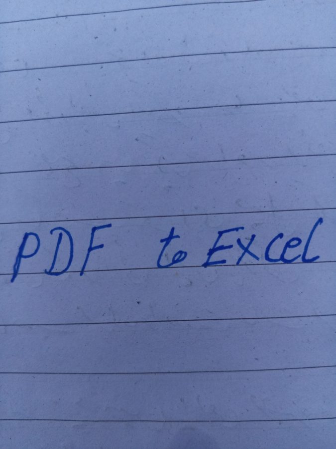 I will accurately convert PDF to Excel , CVS or Google sheets 