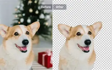I will create transparent PNG images by removing image backgrounds