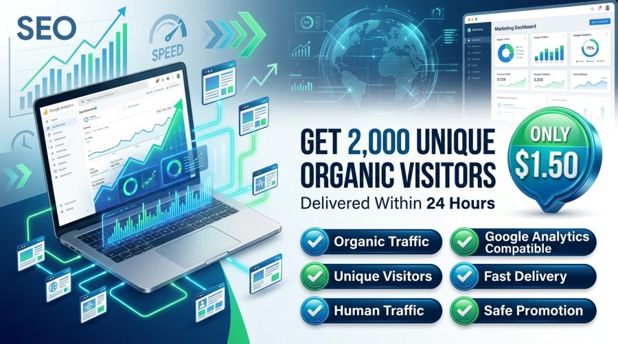 I Will Send 2,0000 Unique Organic Website Visitors in 1 Day for SEO & Traffic Boost