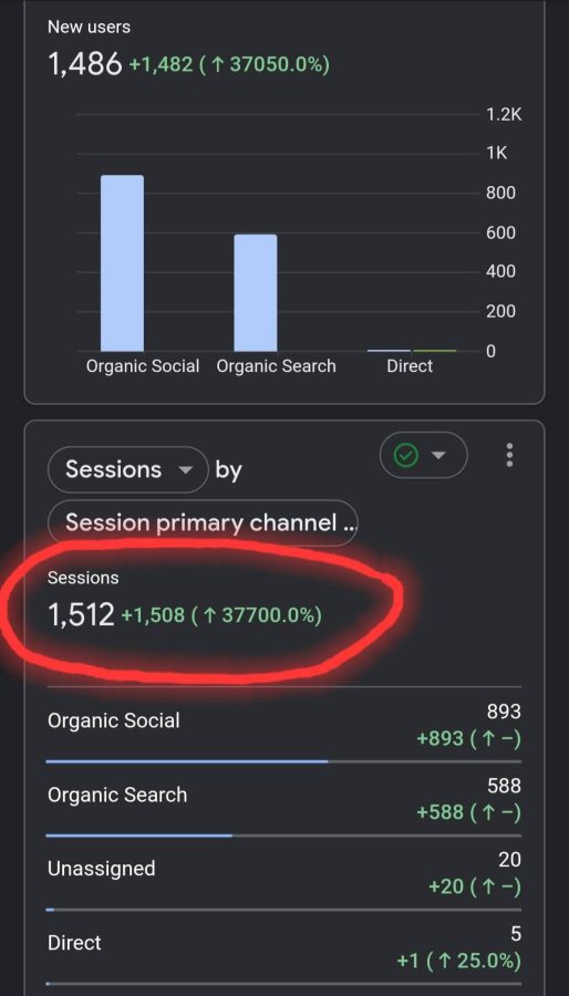 I Will Send 2,0000 Unique Organic Website Visitors in 1 Day for SEO & Traffic Boost