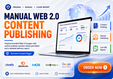 I will manually publish branded content on Web 2.0 platforms