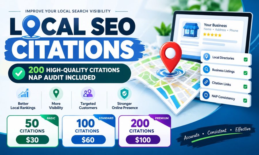 I will build 200 high quality local citations with NAP audit for local SEO