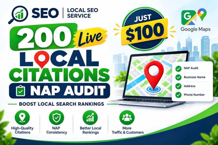 I will build 200 live local citations with NAP audit for local SEO