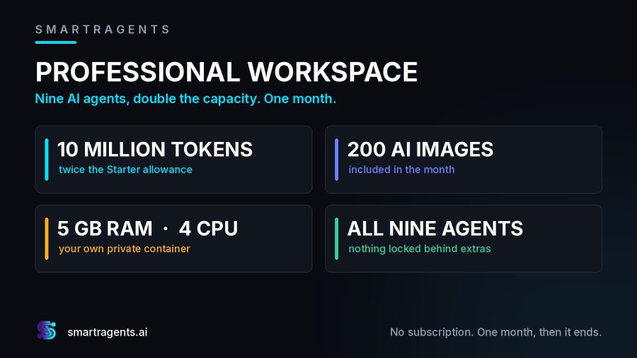 Professional AI Workspace, 9 Agents and 10 Million Tokens, 30 Days