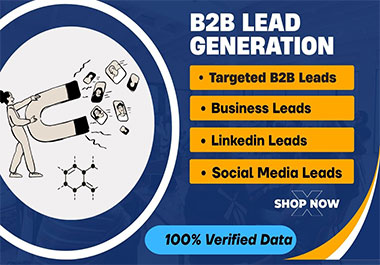 I am a B2B Targeted lead generation, Email list building Expert with