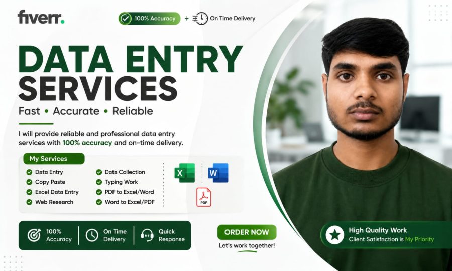 I will do professional data entry, copy paste, and web research work