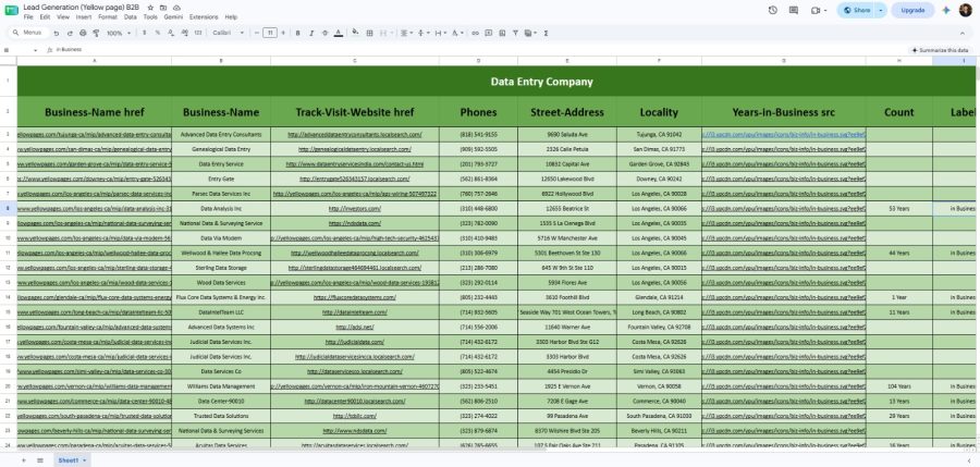 Targeted Business Lead List Building from Maps & Yellow Pages