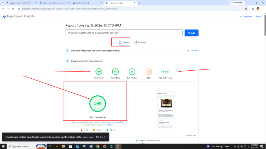 I will fix technical SEO, page speed SEO and perform a full website SEO audit