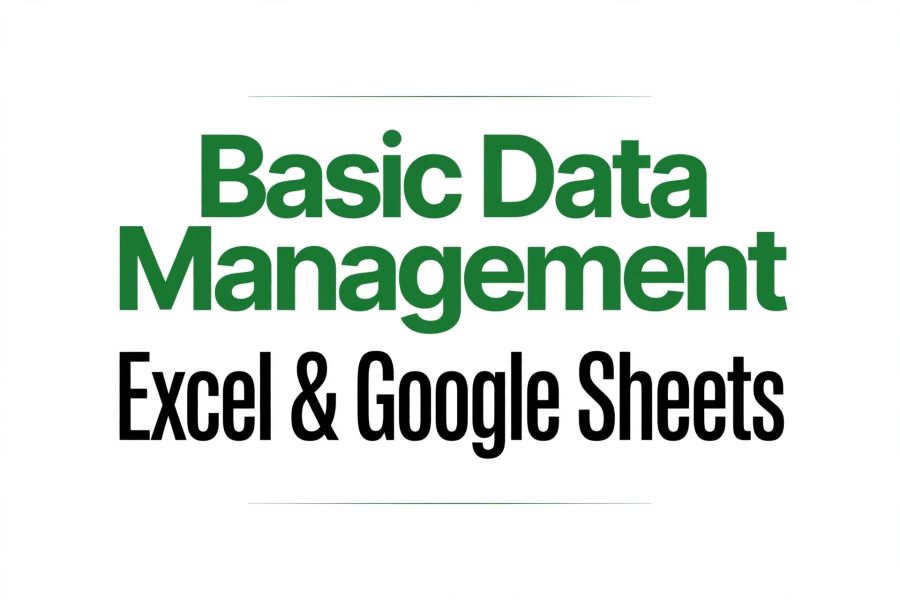 I Will Do Data Entry, Data Management And Excel Work Fast