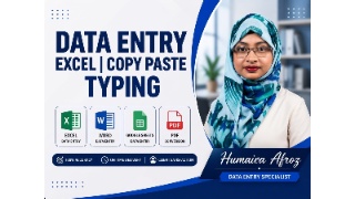 I will do professional data entry web research and excel work