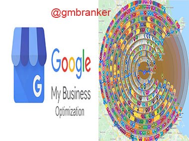 Organize your Google Business Profile and create manually 8000 Google Maps Citations 