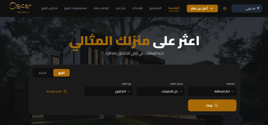 Professional Custom WordPress Website Design