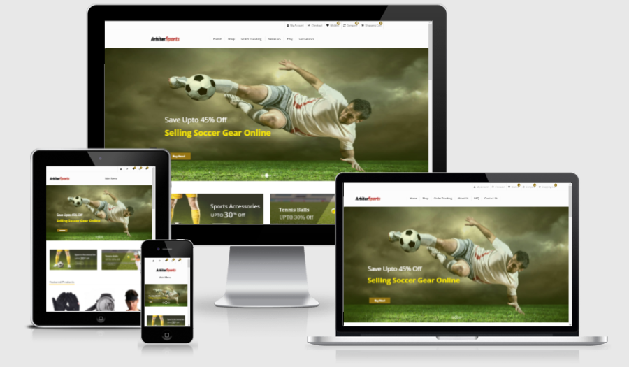 Established Sports eCommerce STORE 200% Profitiable Website Business - Dropship