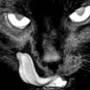Article translation English into German and Dutch and vice versa 500 words