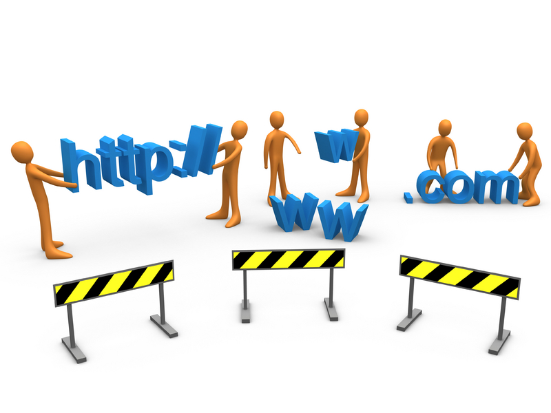 Bussiness website 100$/year