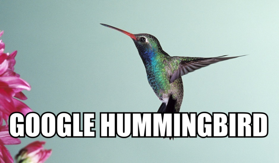manually Create ULTIMATE Hummingbird PR6-PR6 DoFollow Links