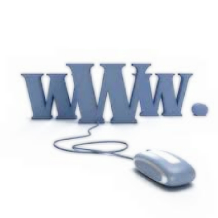 I will build your business or personal website with any domain Uniquely