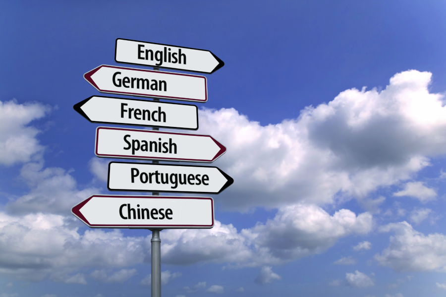 I Will translate any text up to 900 words from english to french or french to english