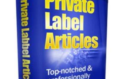 offer you a huge 140,000+ PLR articles pack