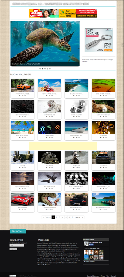 I will build wallpaper website with bulk image posting on wordpress