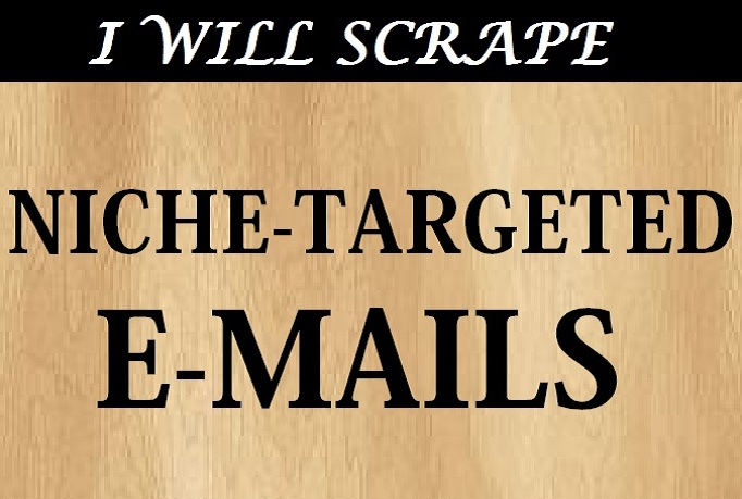 I will Scrape 500 EMAILS For A Specific Niche 