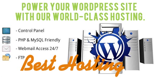 WordPress Server Hosting of 1 Year for Blog or Website