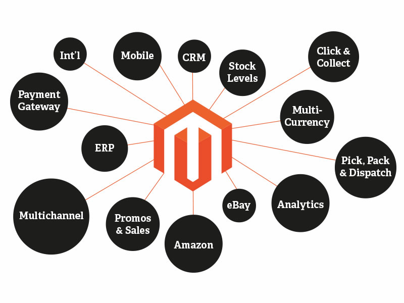 I will Install/setup Magento theme