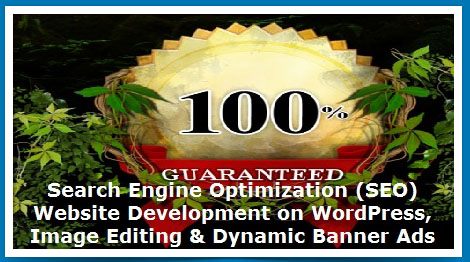  Remember a website On Page SEO Scour =>80% is great! 