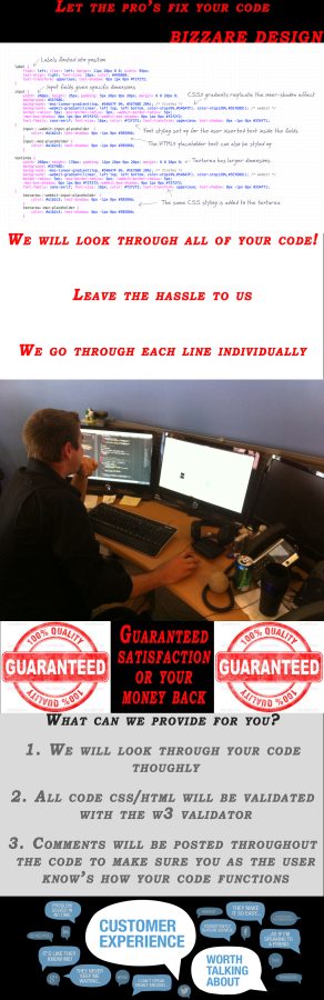 Website Repair / Build One
