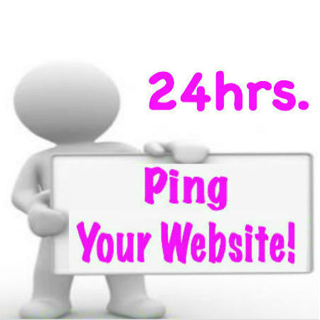 I will          Ping Your website to 2200 + Different Websites In 24 Hrs.