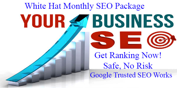 Get 100% White Hat 1 Month SEO Package - Google Safe SEO Link build Service