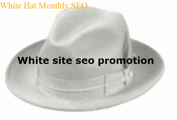 Get 100% White Hat 1 Month SEO Package - Google Safe SEO Link build Service