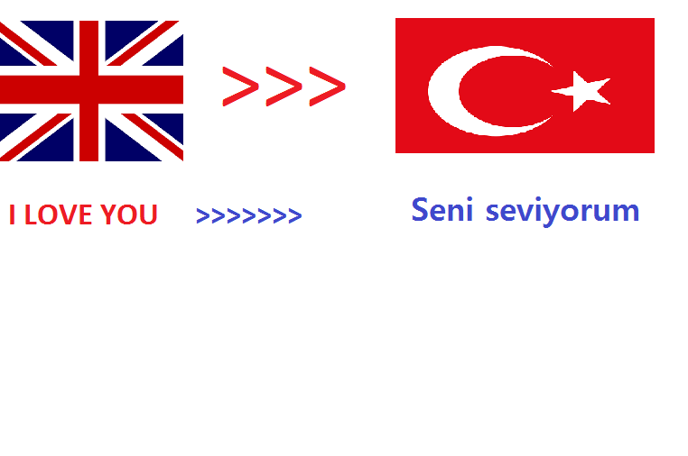 We will translate 500 English words to Turkish  within 24hrs