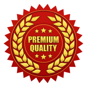  2X Homepage Quality Links Dofollow Backlinks, Paid and Free Press Release Submission