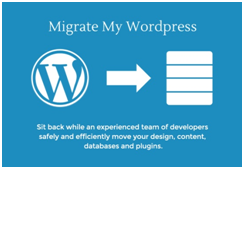 Rank spider  migrate your word press Website 