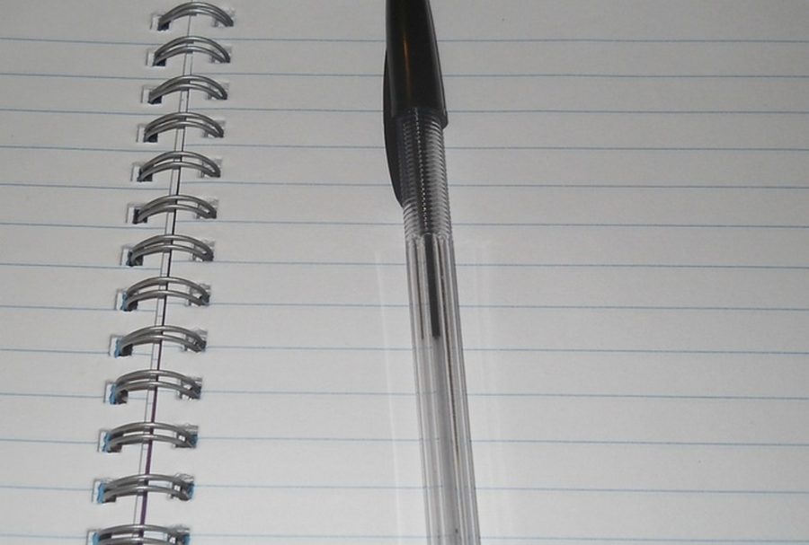 Write 1000 Words Copyscape Article for You