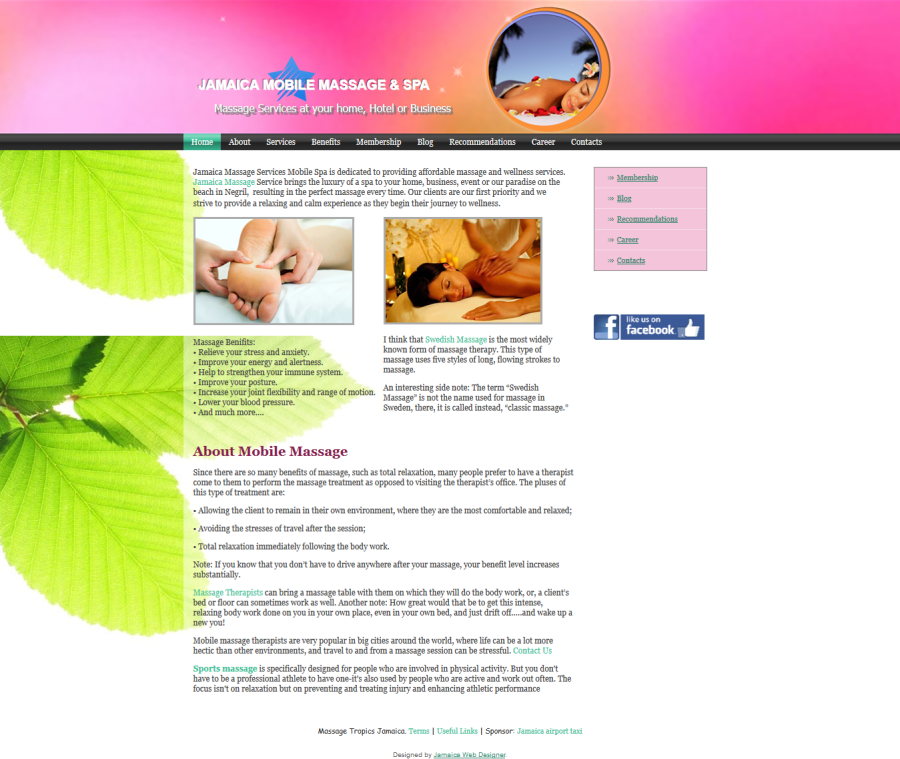 Pro Business Website Design 5-10 pages