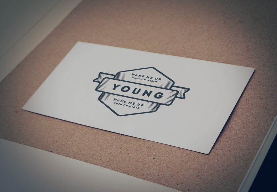 design 3 professional logo mockups