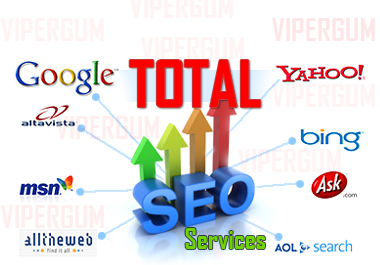 Increasing Site Position using Total SEO Services