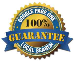 Guaranteed 1st Page Ranking for your site on Google, Organic Traffic & Lead Generation